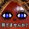 可可影视